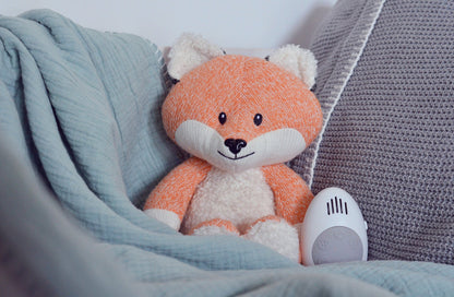 Robin White Noise Soft Toy