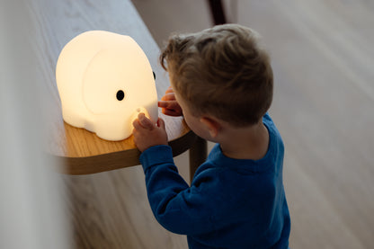 First Light Rechargeable Night Light