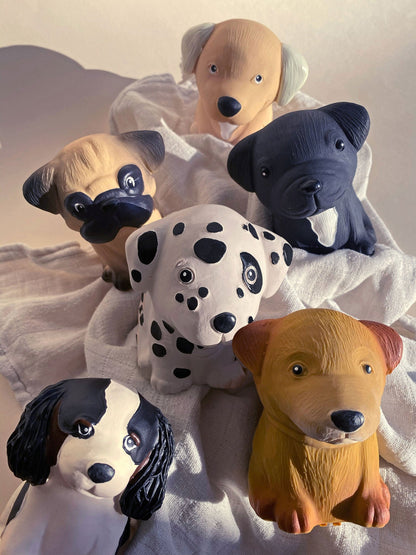 Puppy Parade, Dalmatian