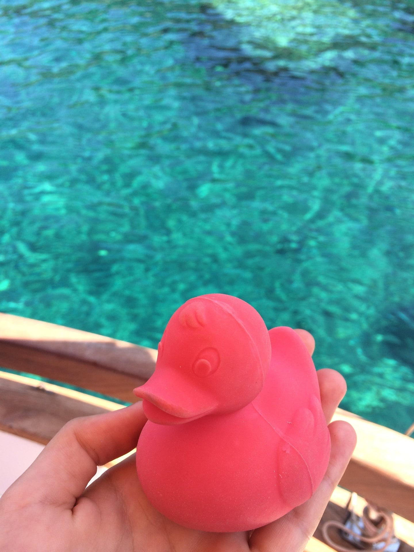 Elvis le Canard Rose – Jouet de bain et dentition bébé – vue produit 16