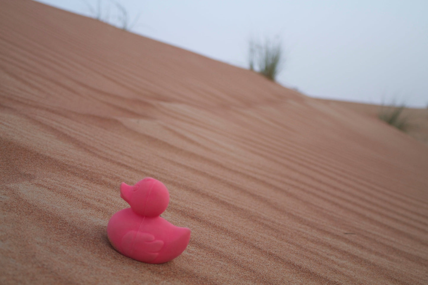 Elvis le Canard Rose – Jouet de bain et dentition bébé – vue produit 18