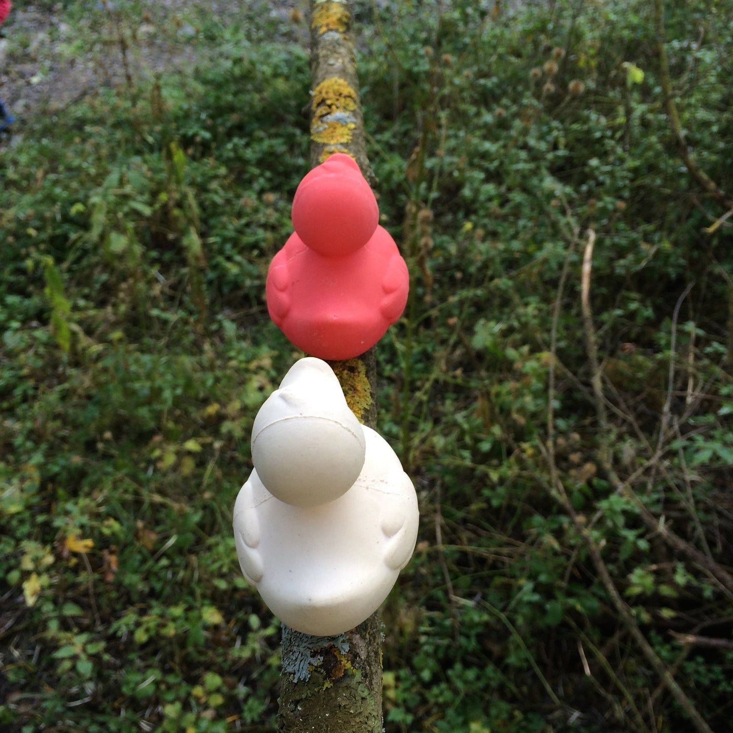 Elvis le Canard Rose – Jouet de bain et dentition bébé – vue produit 31