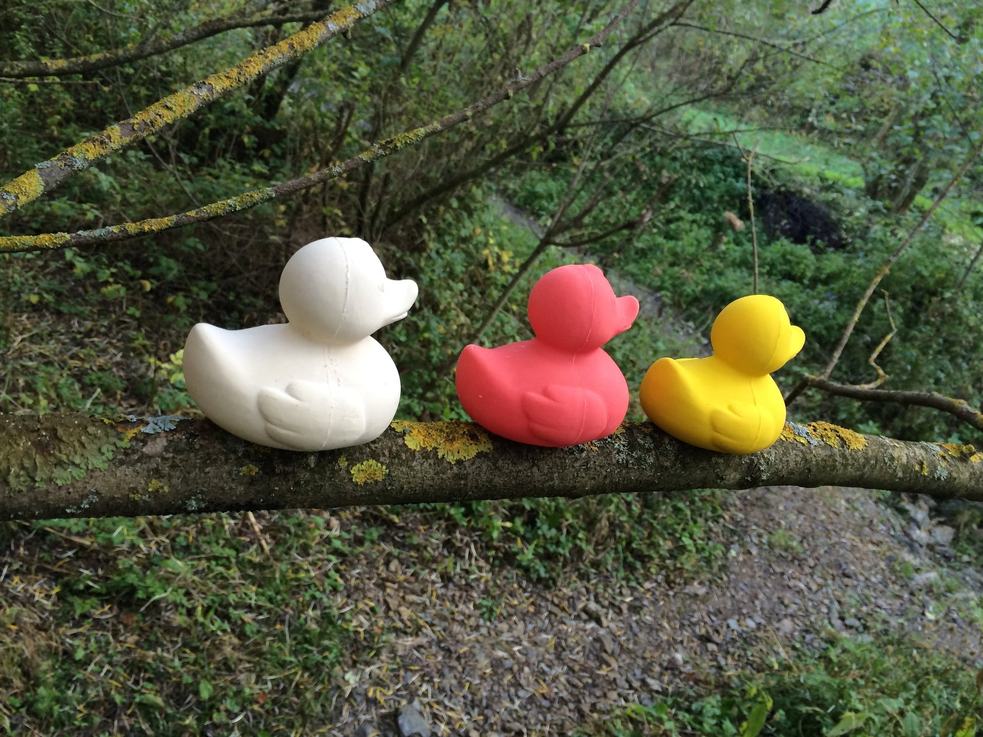 Elvis le Canard Rose – Jouet de bain et dentition bébé – vue produit 32