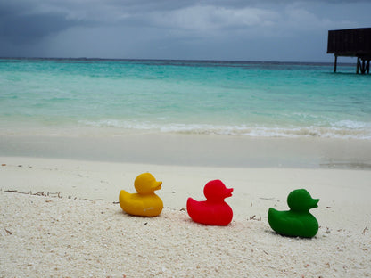 Elvis le Canard Rose – Jouet de bain et dentition bébé – vue produit 40