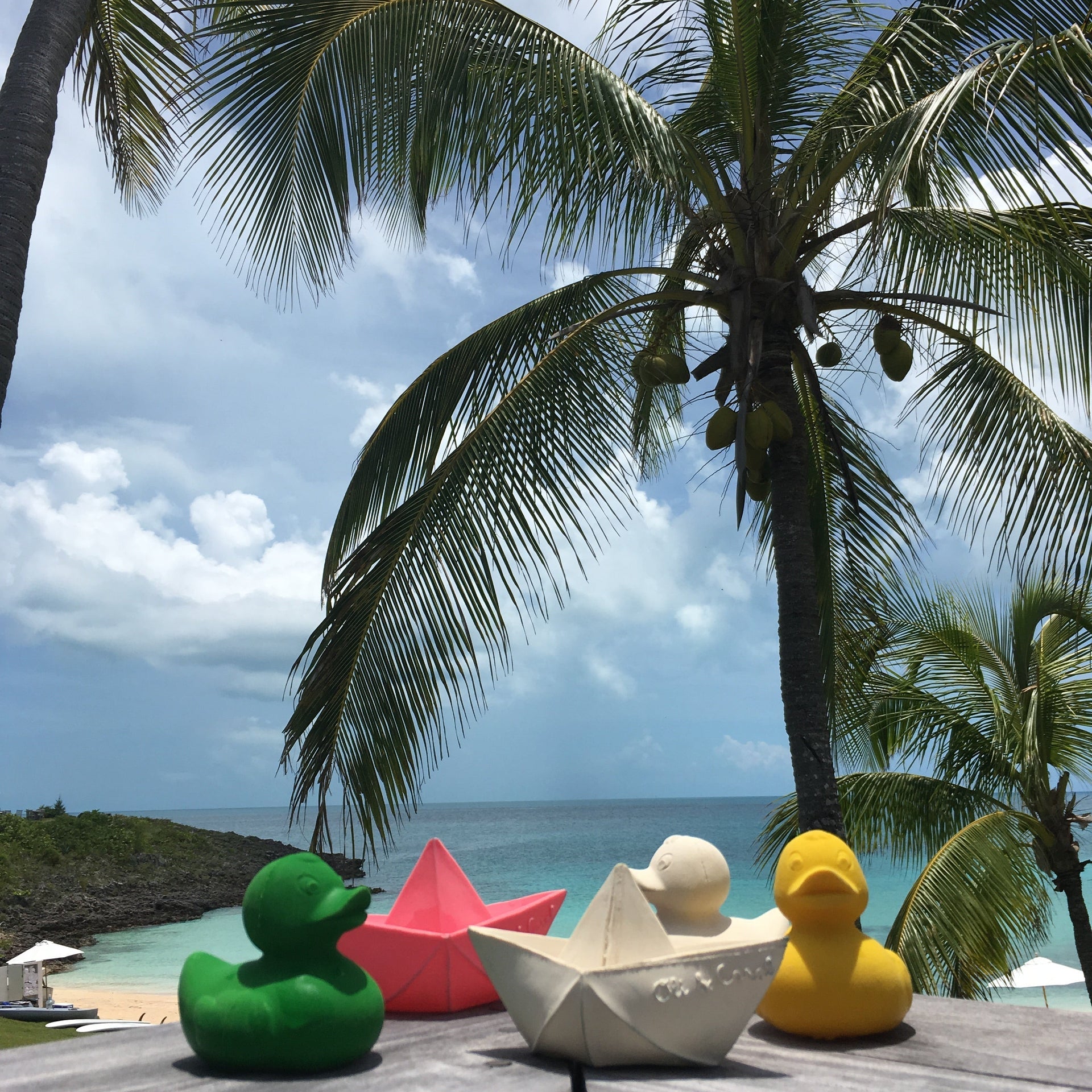 Produit Elvis Le Canard Blanc Déco