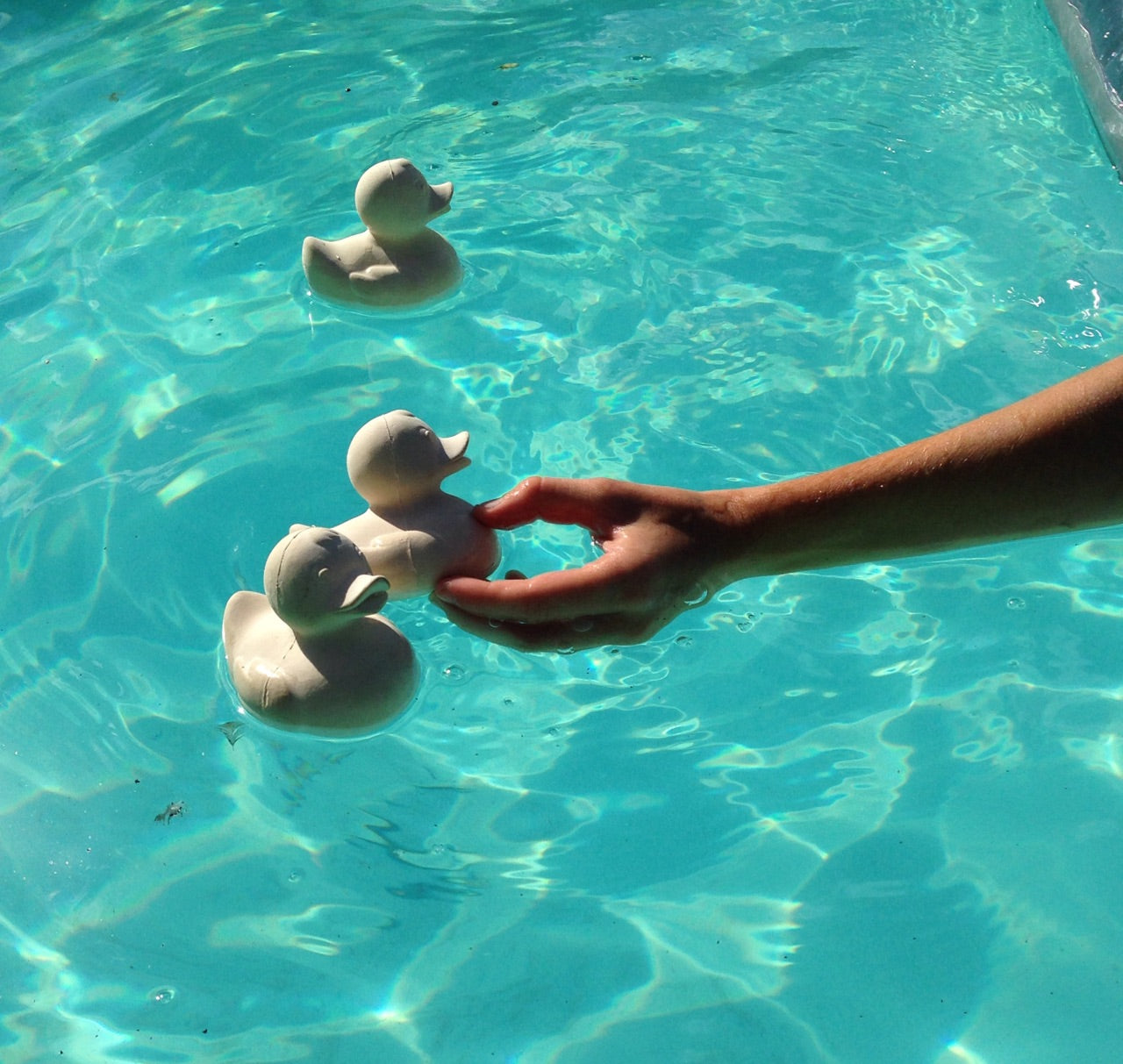 Elvis the White Duck