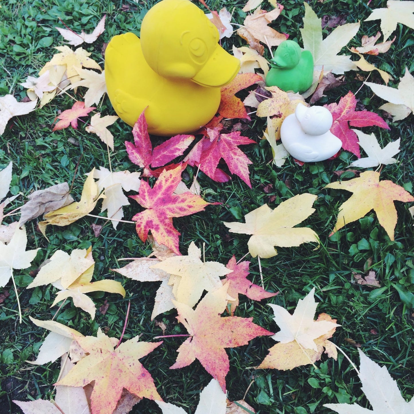 Elvis le Canard Jaune – Jouet de bain et dentition bébé – vue produit 32