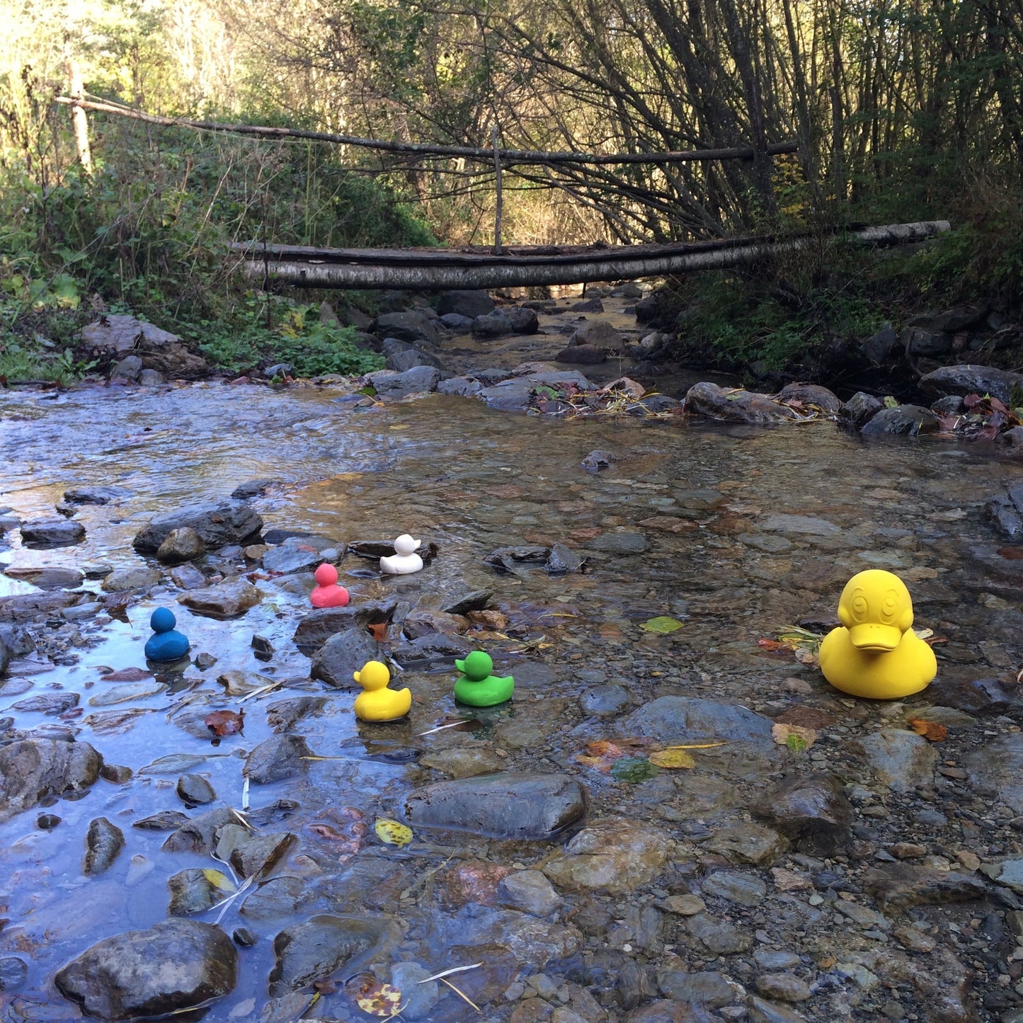 Elvis the Yellow Duck