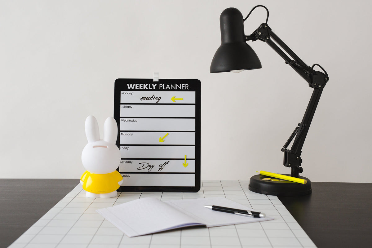 Miffy Hasen-Spardose M