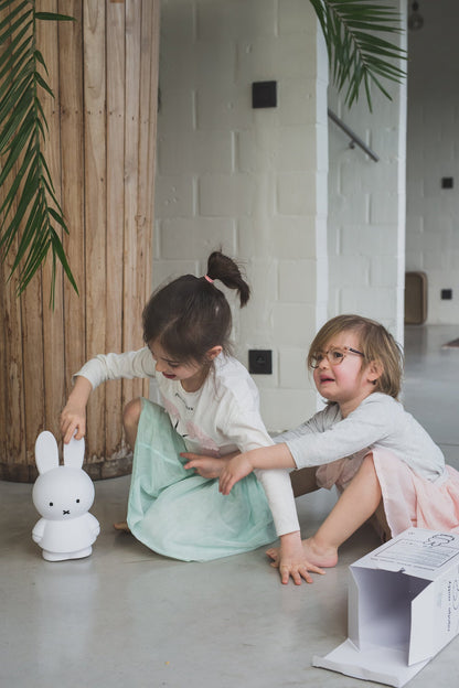 Tirelire Lapin Miffy L