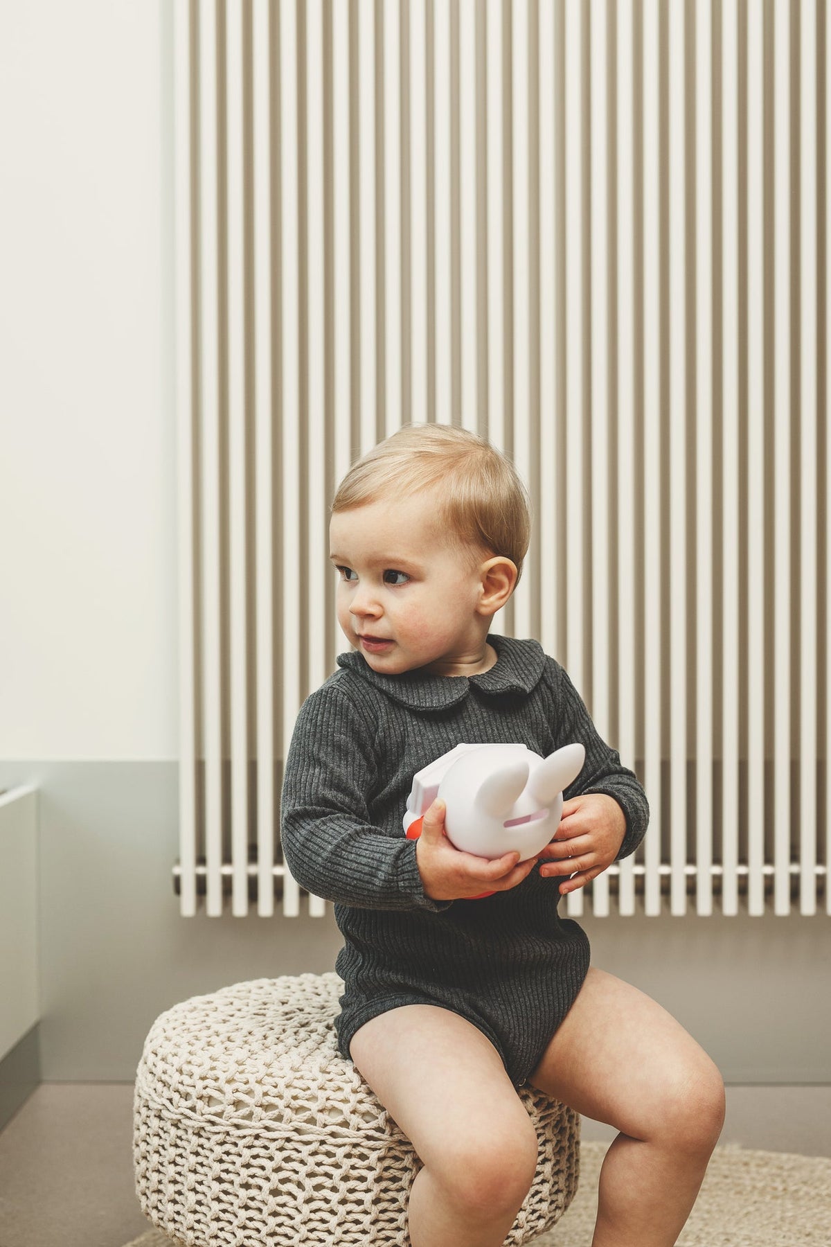 Miffy Rabbit Spardosenbuch