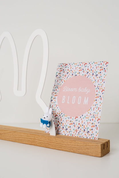 Magnets Lapin Miffy Livre