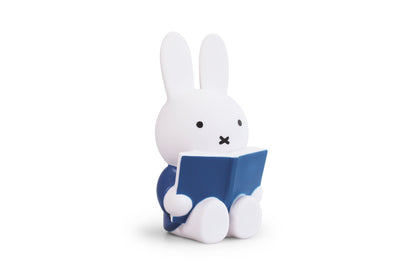 Miffy Rabbit Spardosenbuch