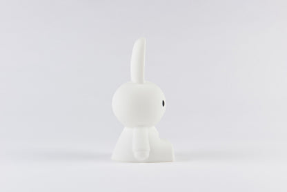 Miffy &amp; Friends Mini-Nachtlicht-Set