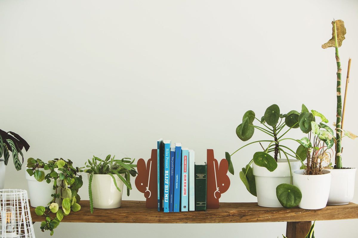 Serre-Livres Lapin Miffy