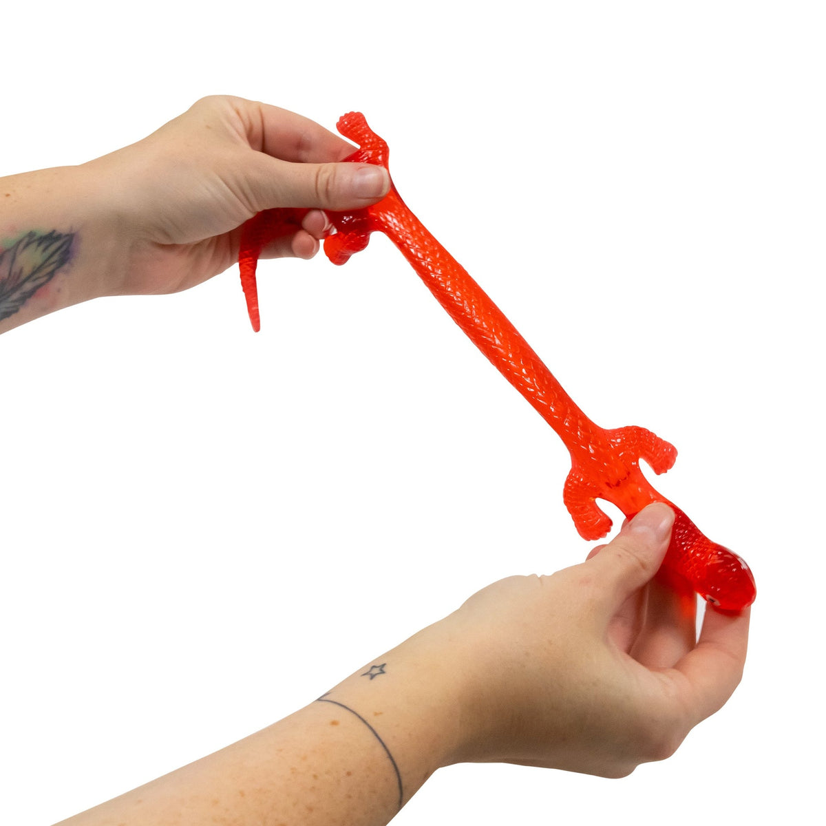 LÉZARD EXTENSIBLE