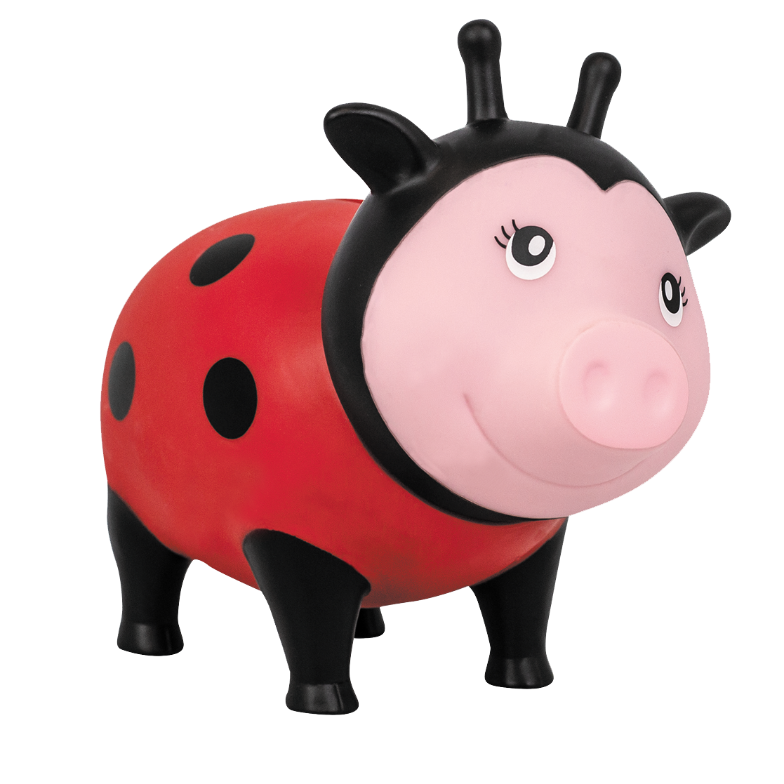 Schwein Marienkäfer