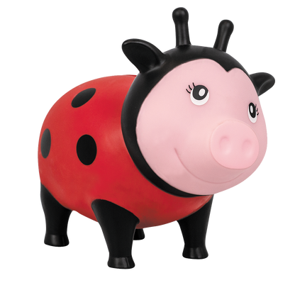 Schwein Marienkäfer