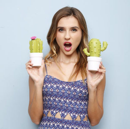 Flower Cactus Night Light