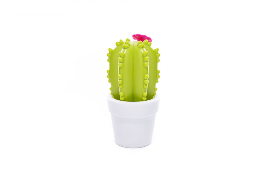 Veilleuse Cactus Fleur Dhink | Boutique veilleuses enfant)