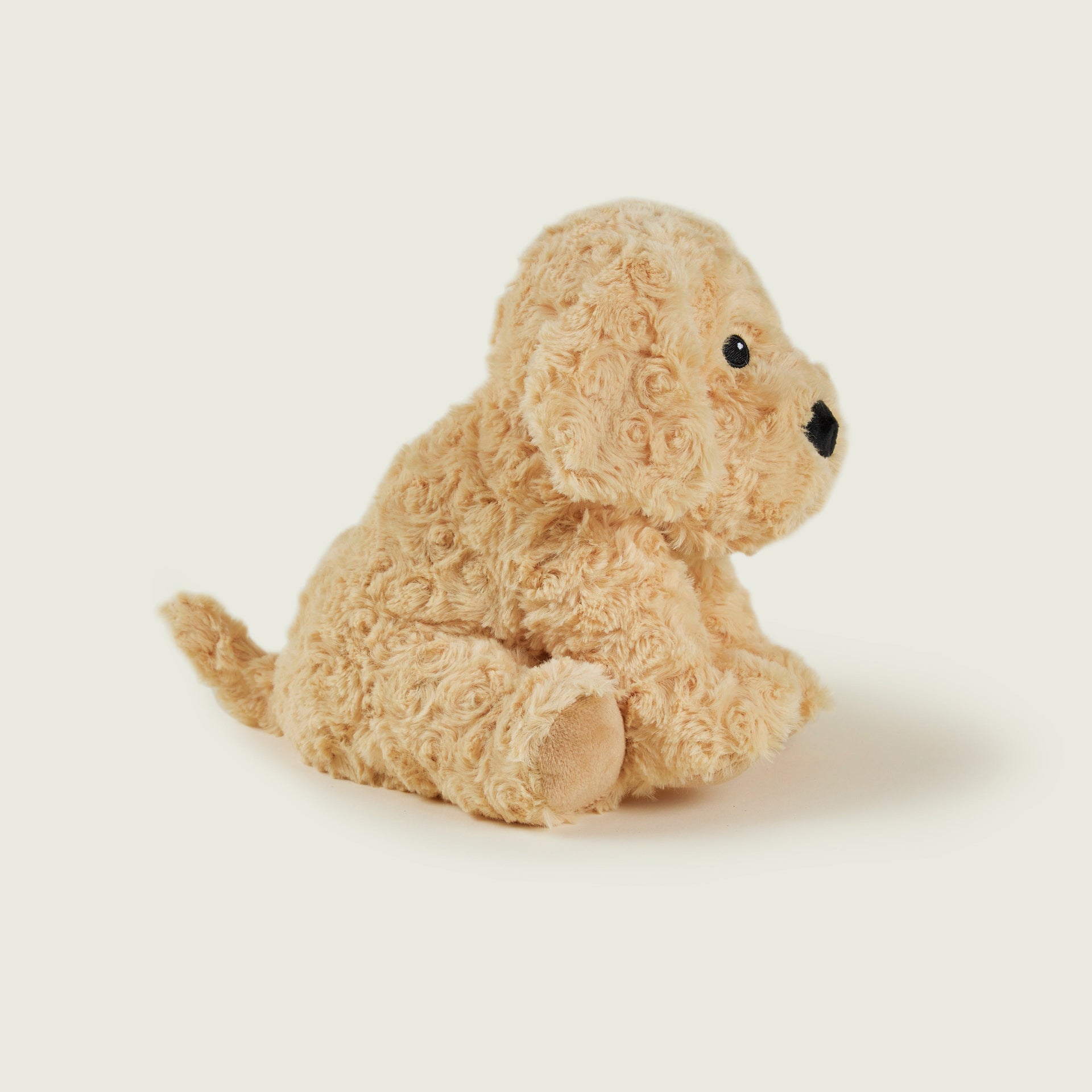 Chien bouclé bouillotte Warmies