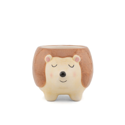 Hedgehog planter