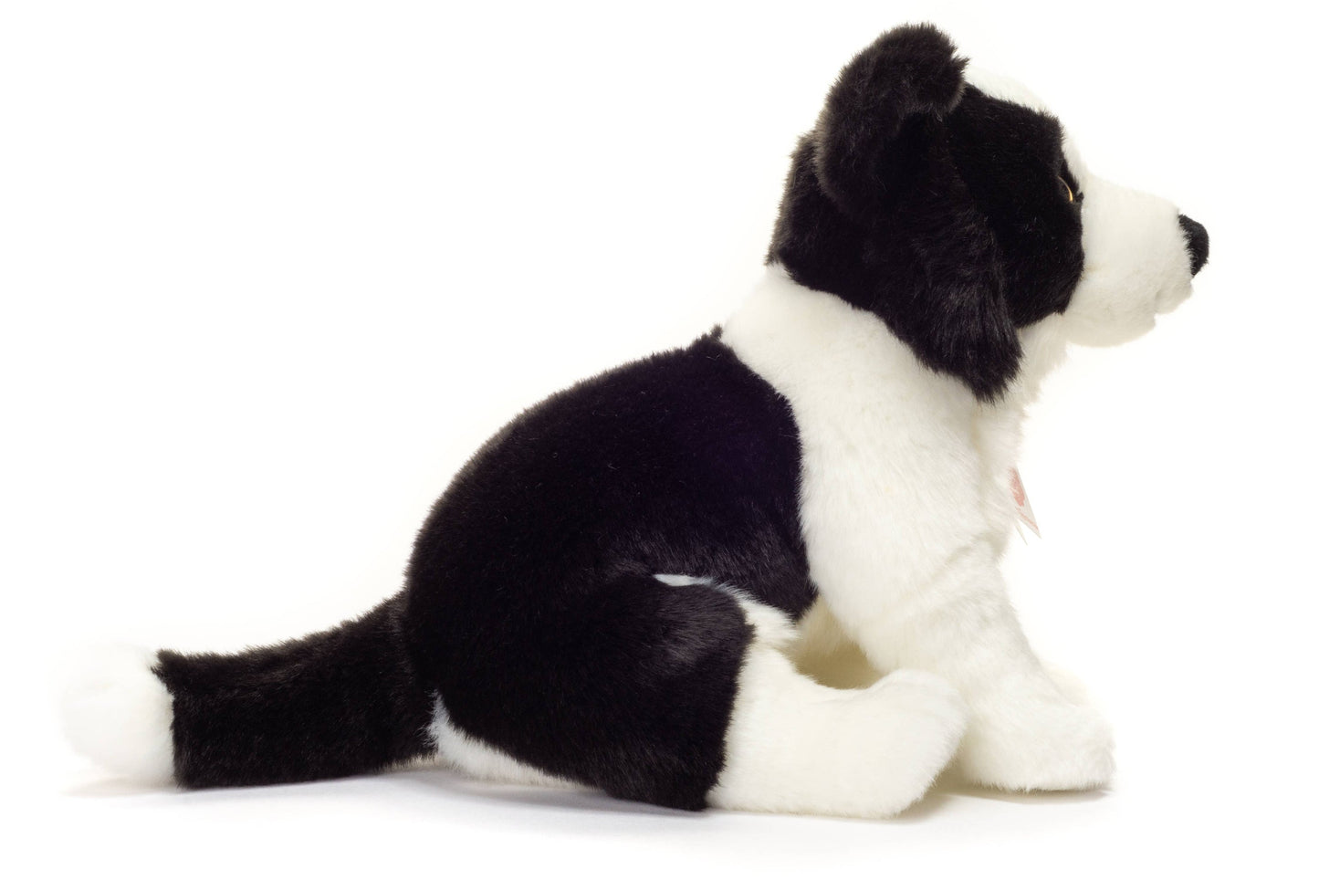 Border Collie Puppy Plush Collar