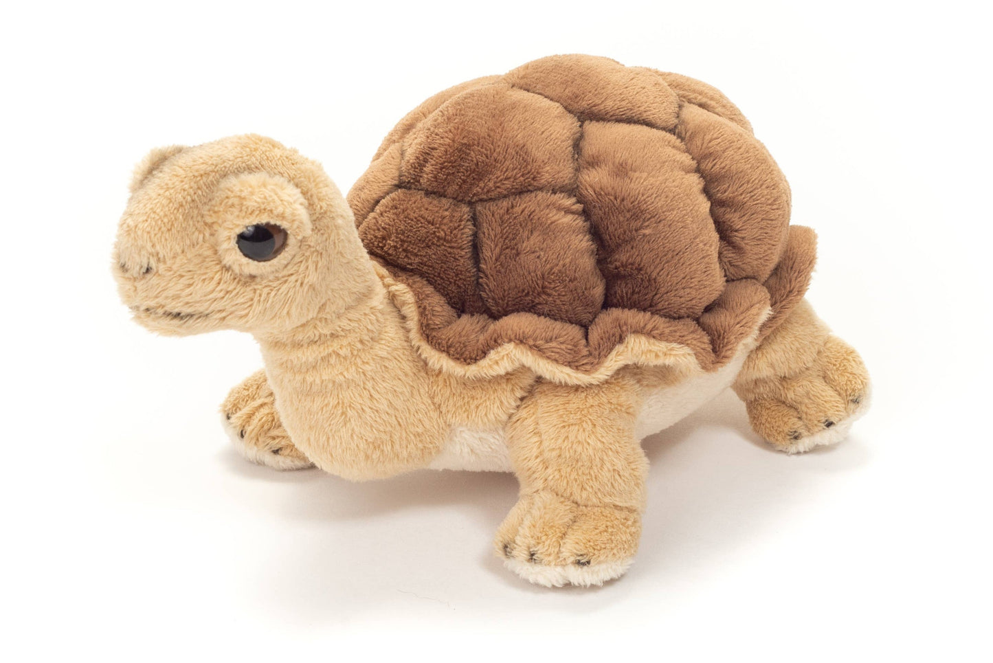 Turtle Plush
