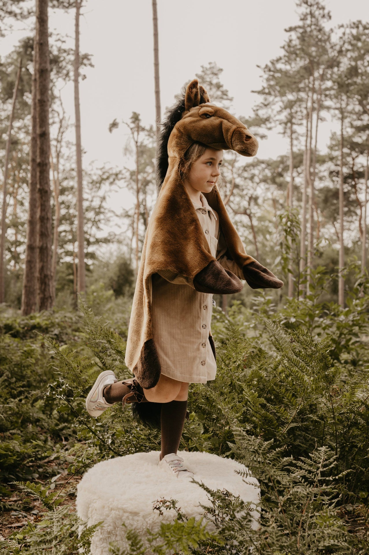 Children's Brown Horse Costume