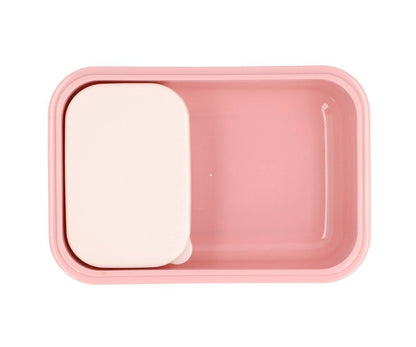 Boîte à Déjeuner Bento Insectes