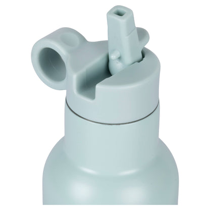 Gourde Lion 420ml