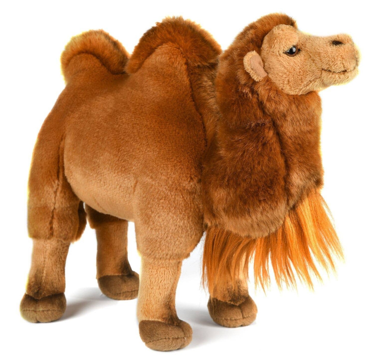 Peluche Chameau debout