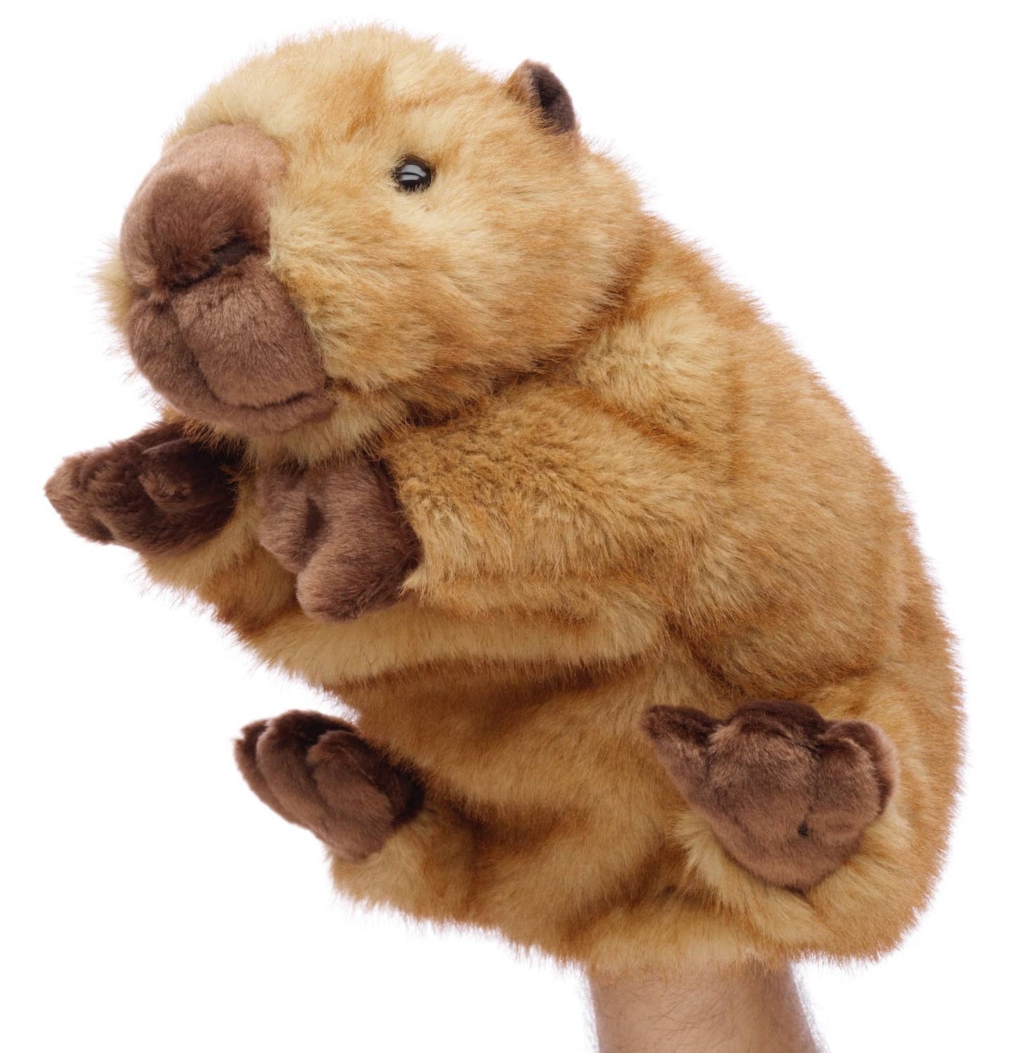 Handpuppe Capybara