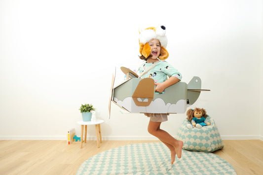 Déguisement Avion Mister Tody