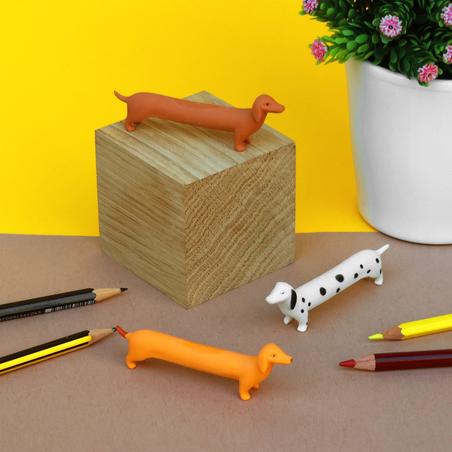 Dog chews