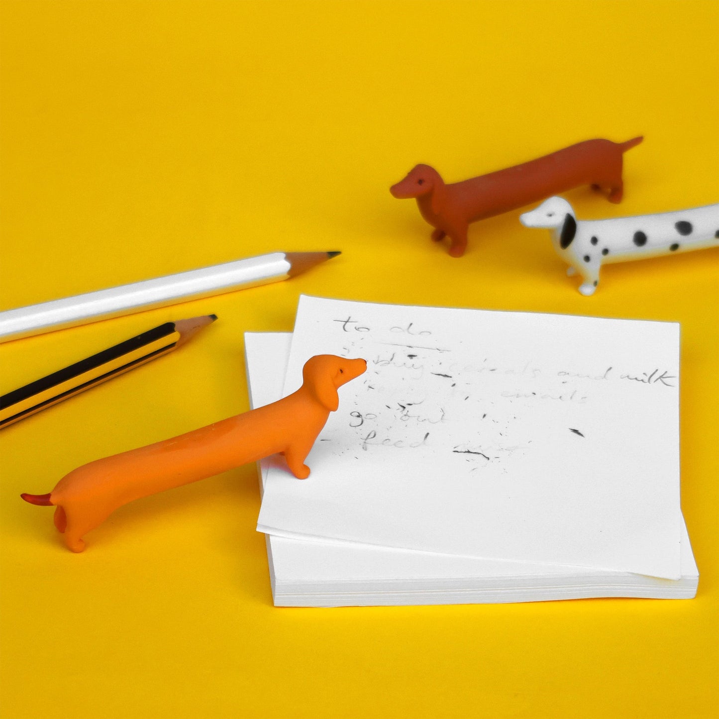 Dog chews