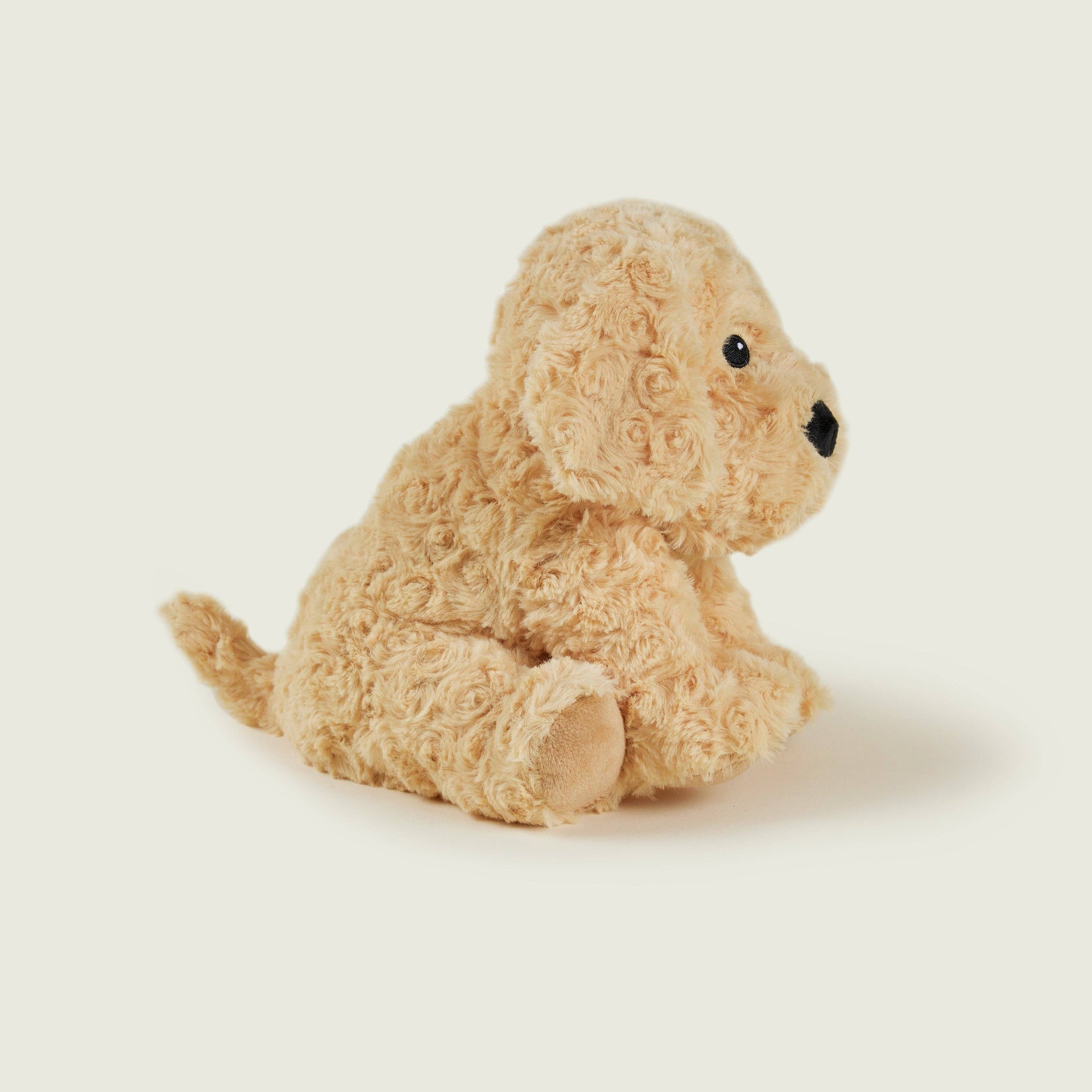 Chien bouclé bouillotte Warmies