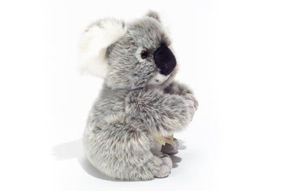 Koala-Plüschtier