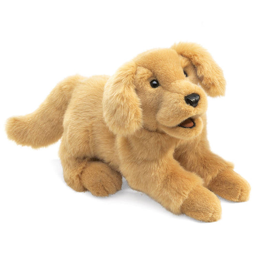 Marionnette à main Golden Retriever Baby 2862/ Chiot Golden Retriever Folkmanis réaliste