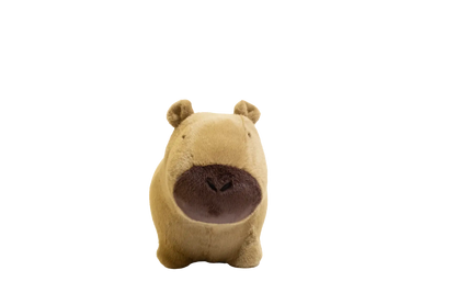 Capybara douce et rebondissante