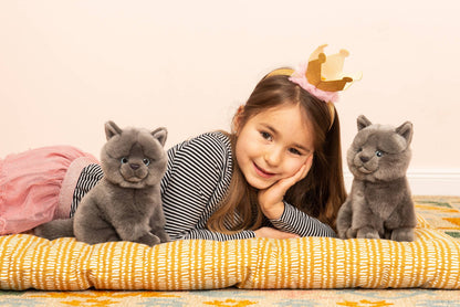 Peluche Chaton Chartreux Assis - Teddy Hermann