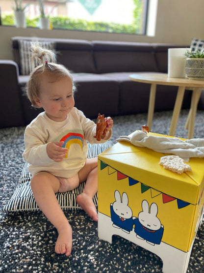Miffy Hasen-Papphocker 