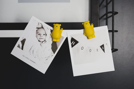 Set de 4 Magnets-Lou Atelier Pierre Junior