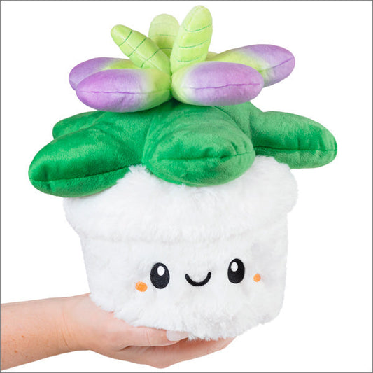 Peluche Mini Squishable – Plante Succulente