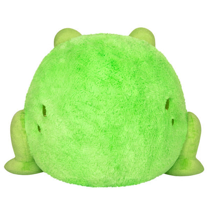 Peluche Squishable – Grenouille