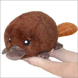 Peluche Mini Squishable – Bébé Ornithorynque